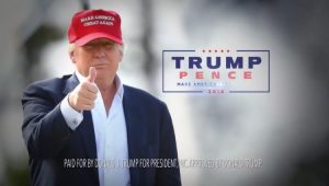 Digital Advertising for Donald Trump 20116